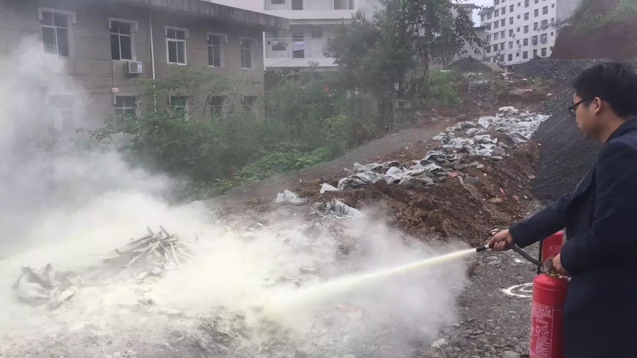 4.png?v=1765730287278