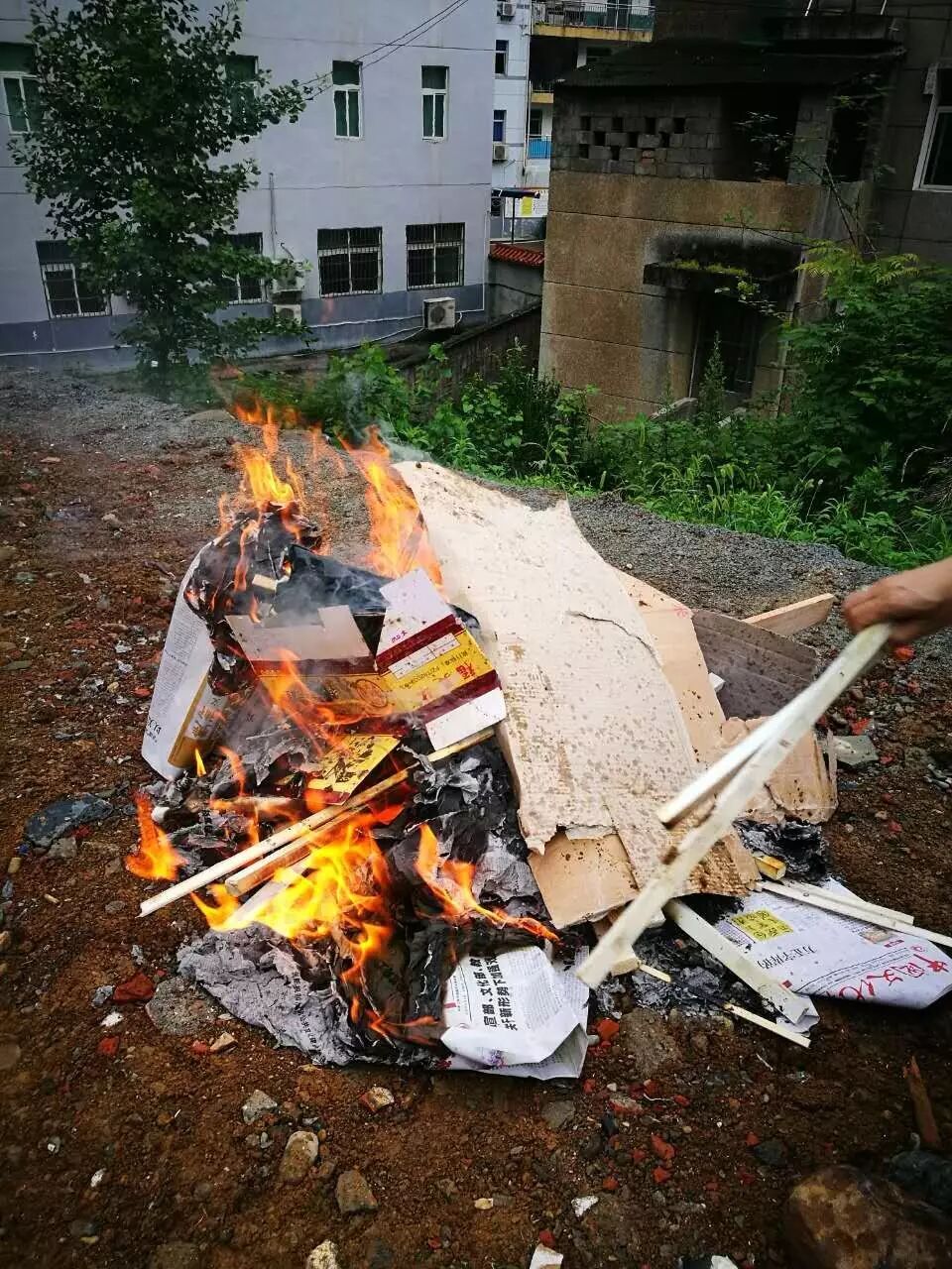 1.png?v=1765730287278