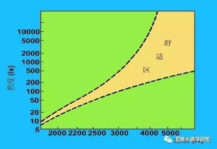 养鱼知识