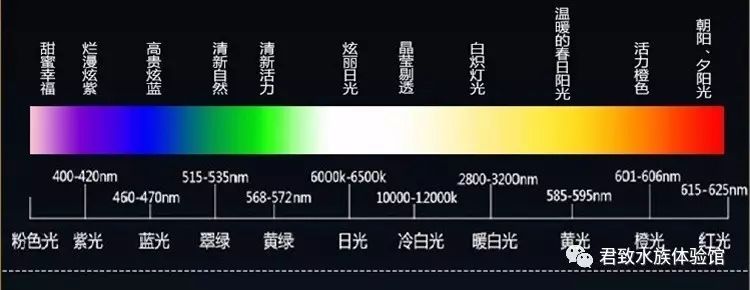 养鱼知识