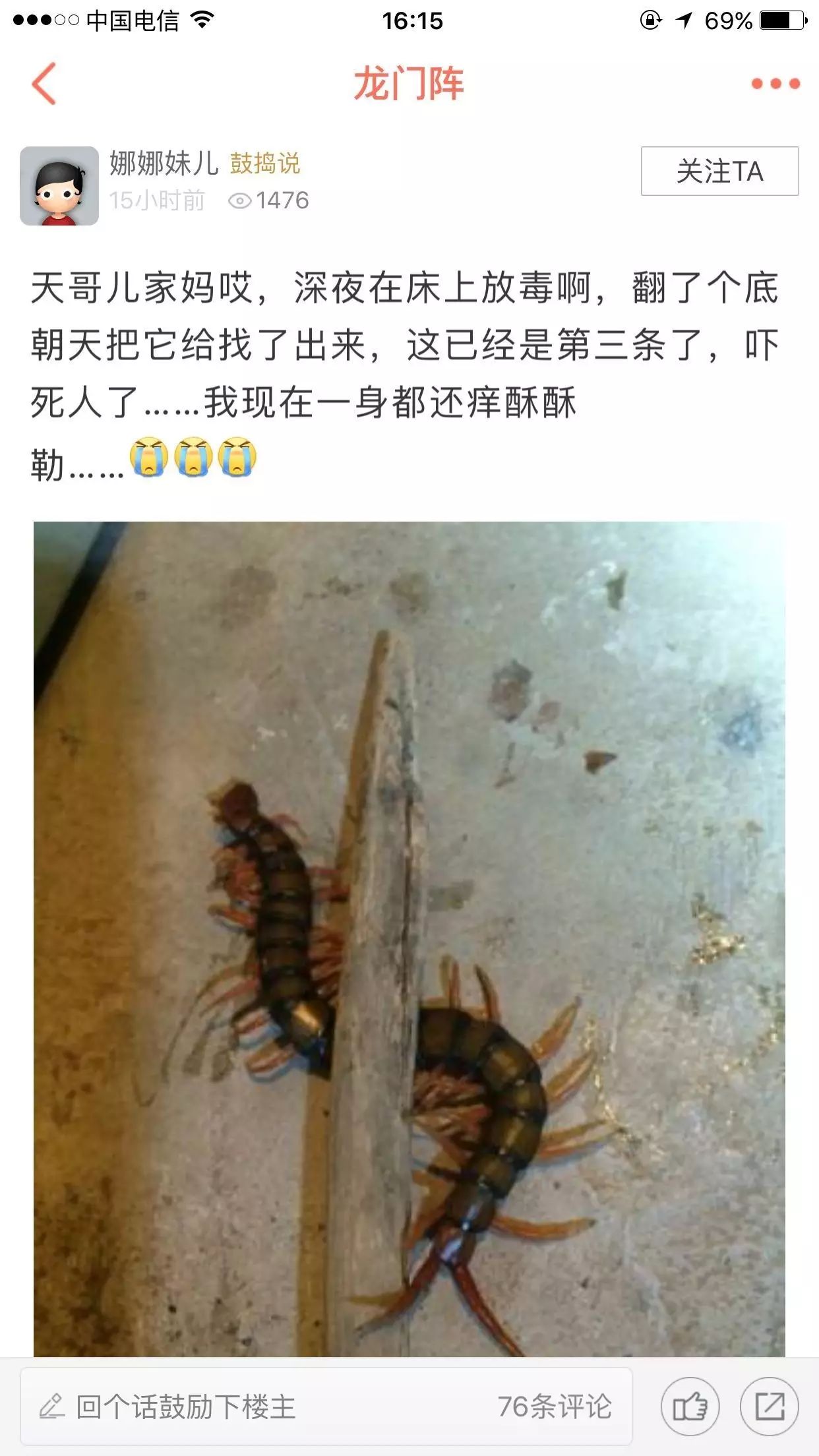 蜈蚣到底有多毒，如果人被它咬伤后会怎样？中国最大蜈蚣有多大？_照片_红龙_毒性