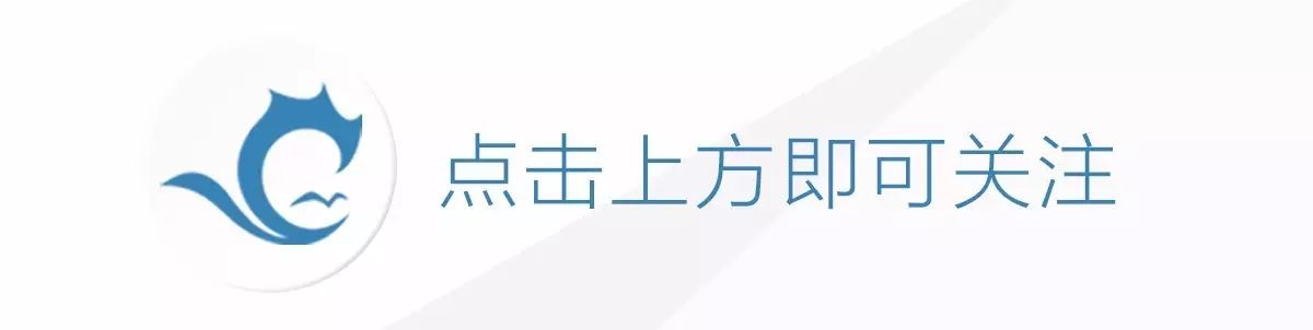 赶潮创业项目 【潮浙看|人物】王珂：创业长冬，我选择向父亲证明