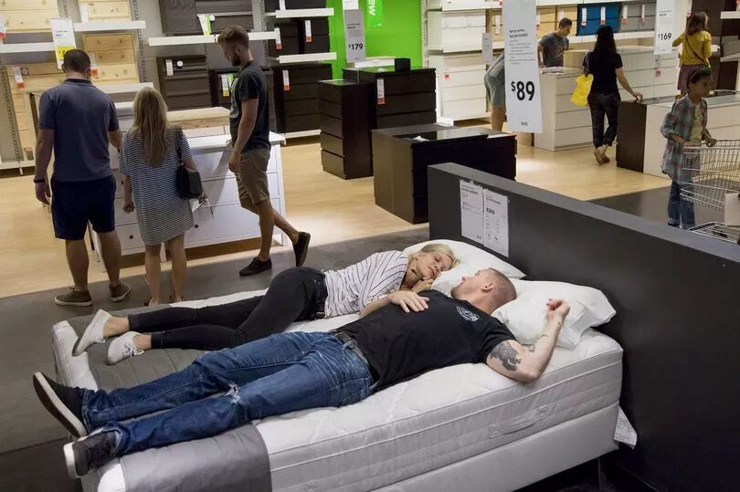 宜家邀请流浪汪“试睡”？这个冬天真的太温暖了吧