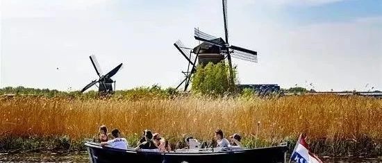 深呼吸，感受一下荷兰城市的绿色生活