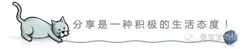 e0級(jí)木地板_百木世佳地板怎么樣_荷木 地板