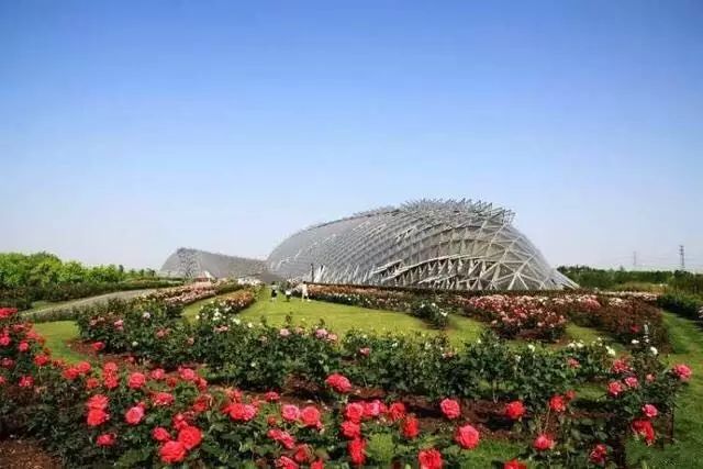 上海辰山植物园3座玻璃绿色温室目前向社会全面开放