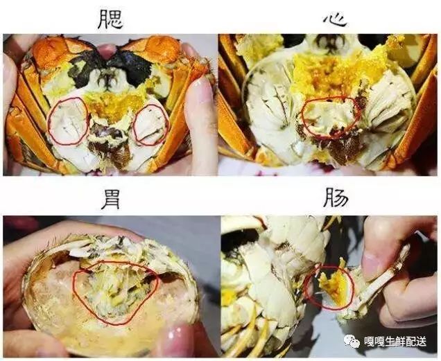 螃蟹有四个部位不能吃,要逐一扔掉.