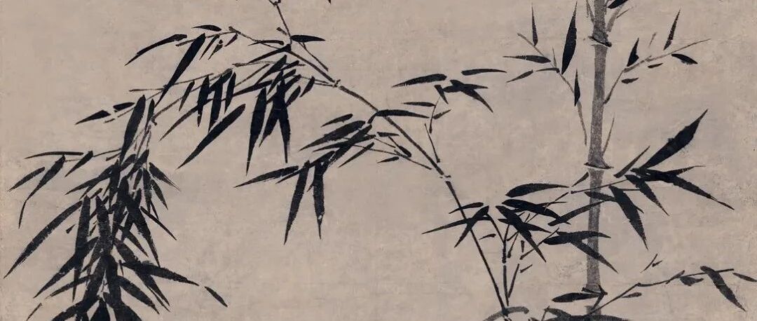 2021ˣ | Ŵ黭־ƷԤͼƬ