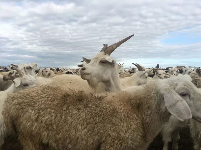 【萌晨的旅行】这是一片神圣而又静谧的土地