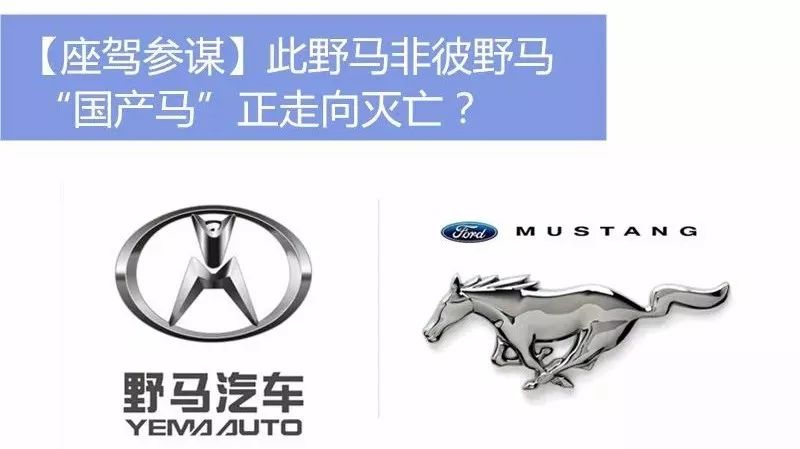 此野马非彼野马 “国产马”正走向灭亡?