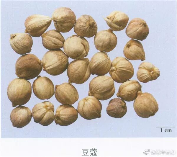 常用200味中药彩图功效用法用量