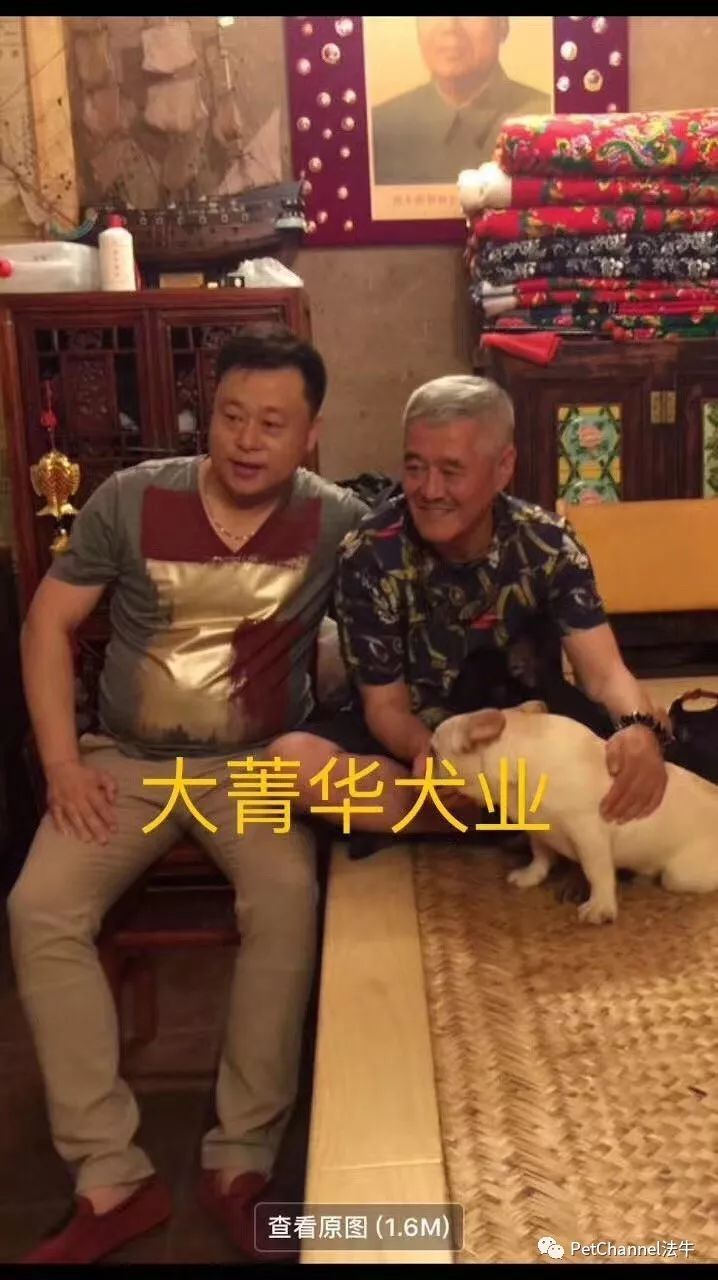《乡村爱情十》拍摄现场,大菁华犬业集团名下大拿犬业繁育基地曝光!