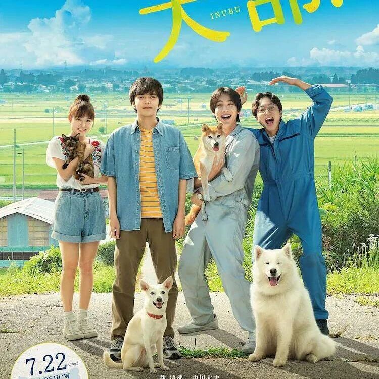 【剧情】《犬部》(2021)