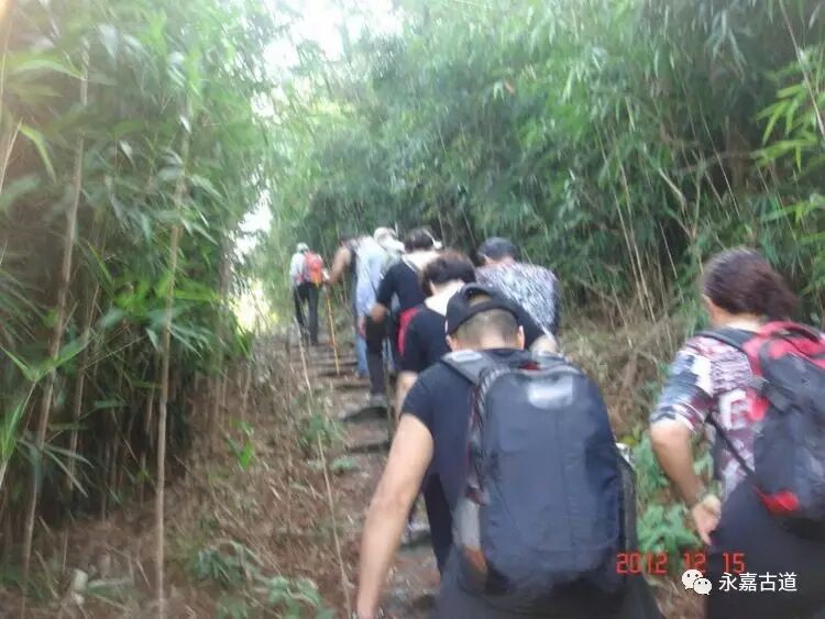 永嘉东岸的麻谷寺古道至西叶村，经行禅村，下行北岙村为终点。是一条让人身心愉悦的古道连接线路！
