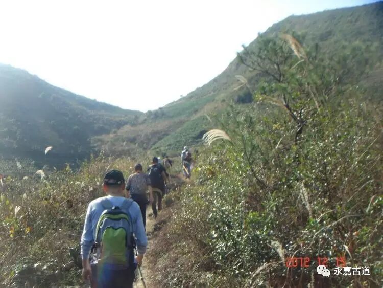 永嘉东岸的麻谷寺古道至西叶村，经行禅村，下行北岙村为终点。是一条让人身心愉悦的古道连接线路！
