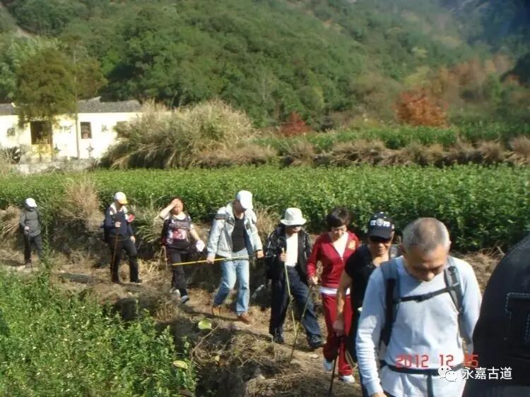 永嘉东岸的麻谷寺古道至西叶村，经行禅村，下行北岙村为终点。是一条让人身心愉悦的古道连接线路！