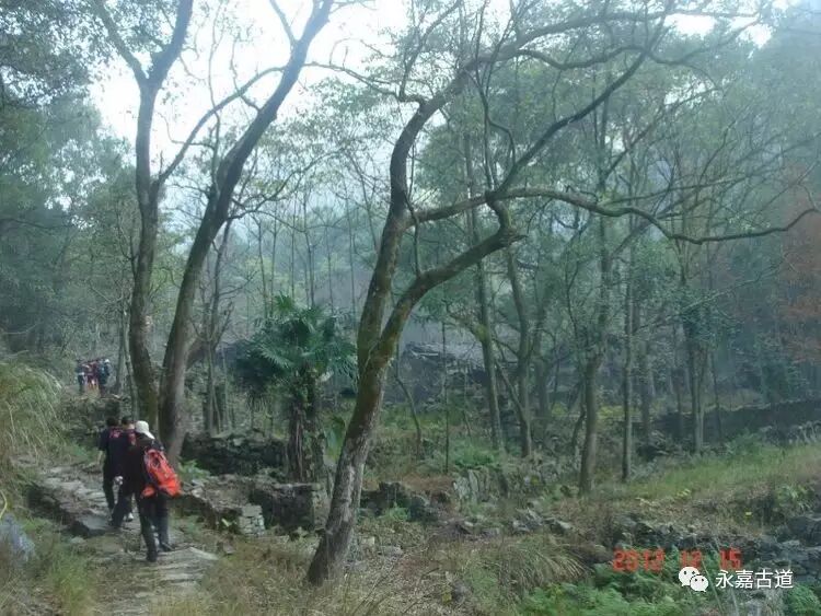 永嘉东岸的麻谷寺古道至西叶村，经行禅村，下行北岙村为终点。是一条让人身心愉悦的古道连接线路！