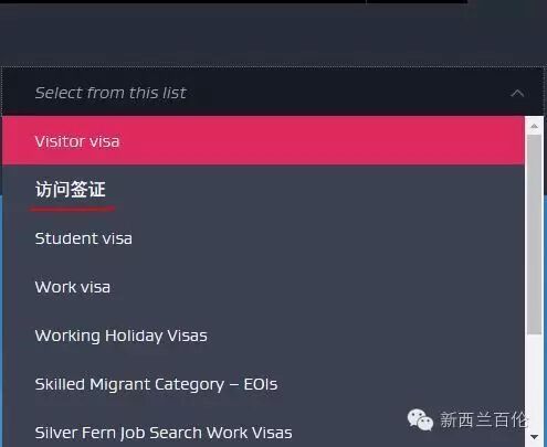 承诺给你们的：史上最详细新西兰online签证手册