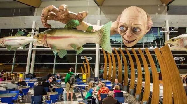 为惠灵顿打Call：【除了风大】完美的留学移民生活目的地