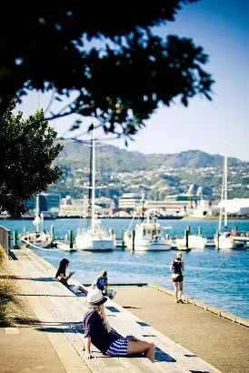 为惠灵顿打Call：【除了风大】完美的留学移民生活目的地