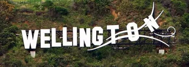 为惠灵顿打Call：【除了风大】完美的留学移民生活目的地