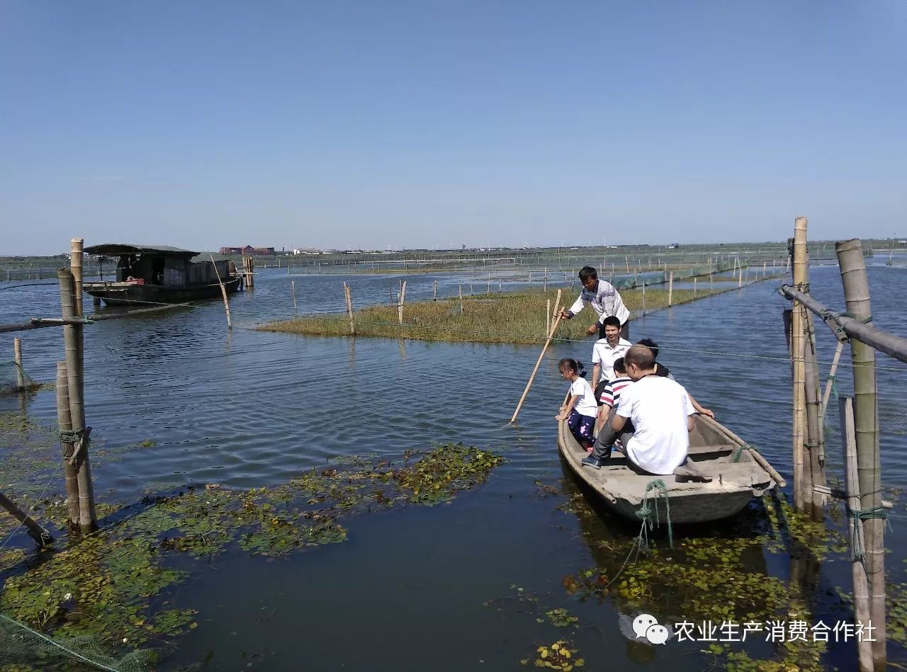 送福利,真正的阳澄湖大闸蟹8折优惠