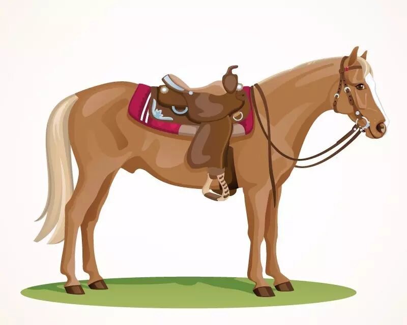 这三十个常用的英语习语 你认识几个？(图)