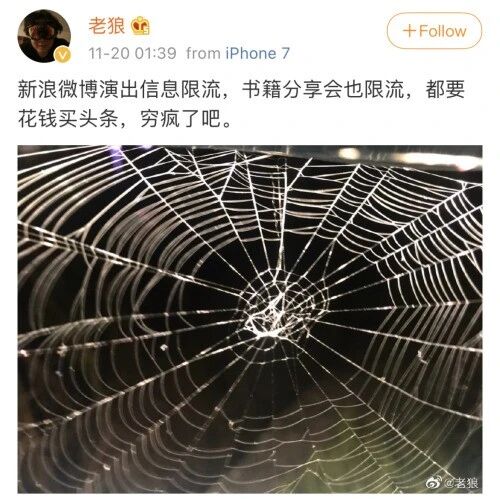 老狼怒了!