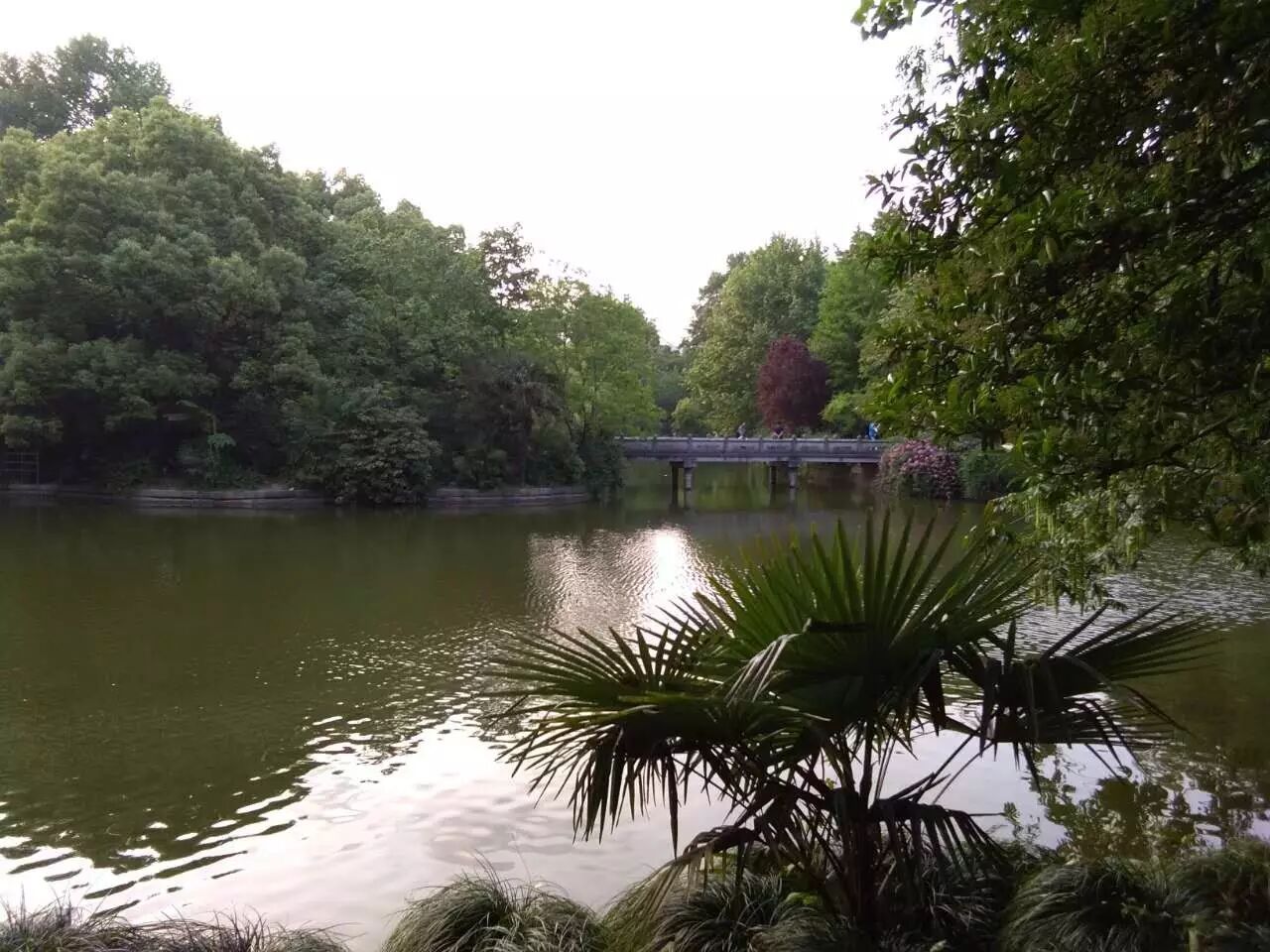 为了爱，“生”要延续下去（一）