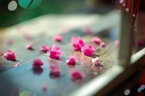 没有感情的感情还不如跟鬼过