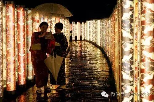 京都“光影竹林”：流光溢彩 雨夜更显唯美