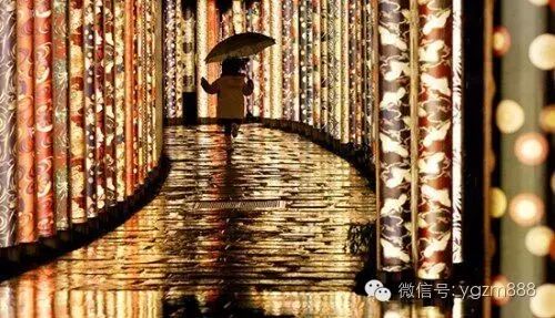 京都“光影竹林”：流光溢彩 雨夜更显唯美