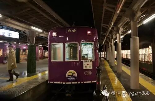 京都“光影竹林”：流光溢彩 雨夜更显唯美