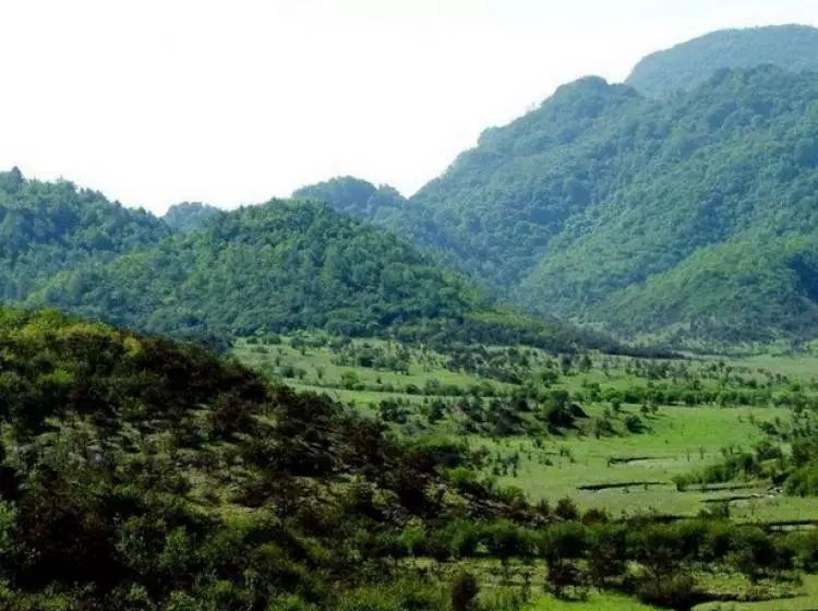 大巴山国家级自然保护区