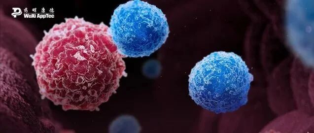 2022-04-24药事资讯