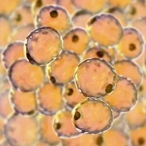 2022-03-11药事资讯