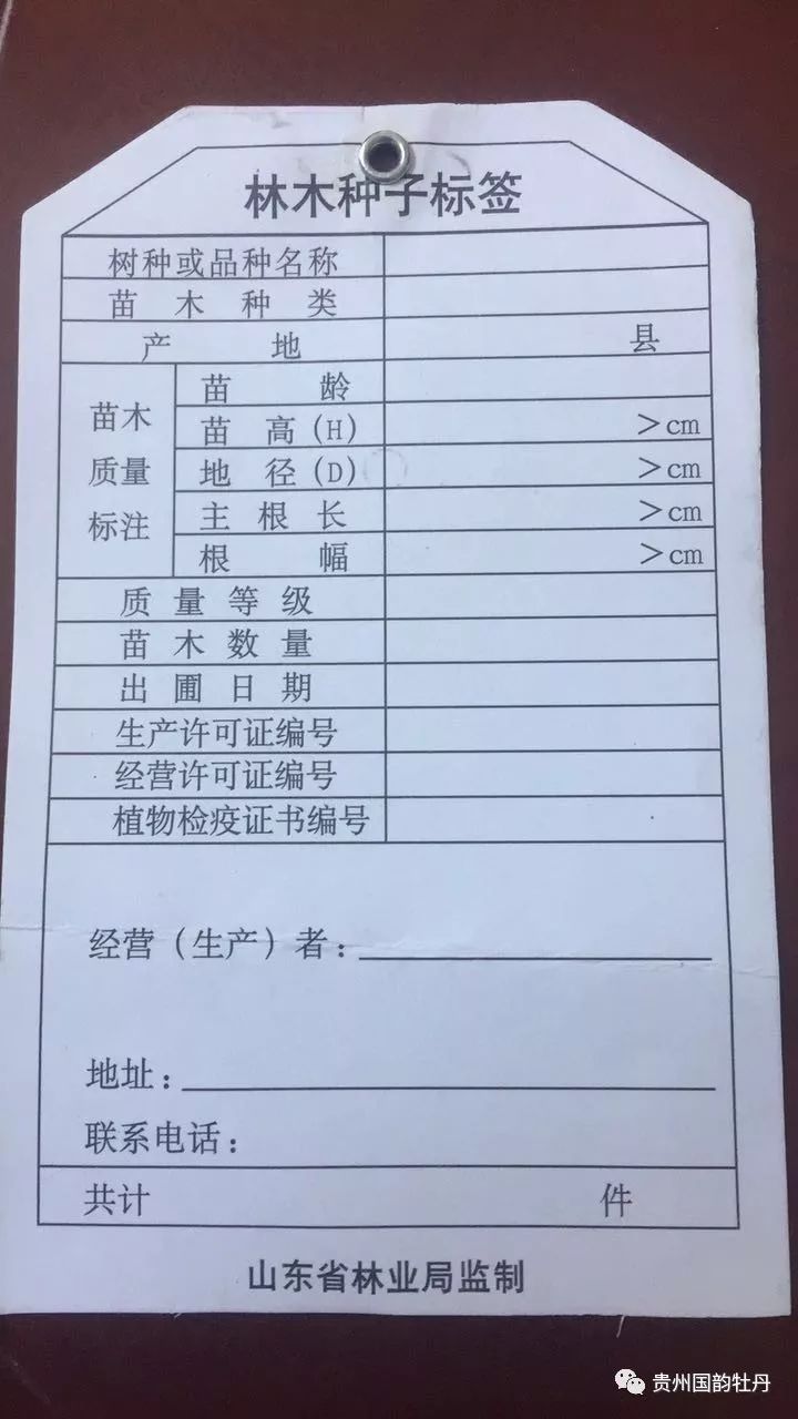 没有"两证一签"的牡丹种植户,得不到部分政府验收通过以及政策补贴