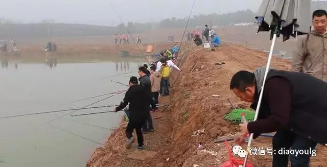 鱼塘垂钓 这种鱼塘钓鱼价格可不菲，半天600元起步！
