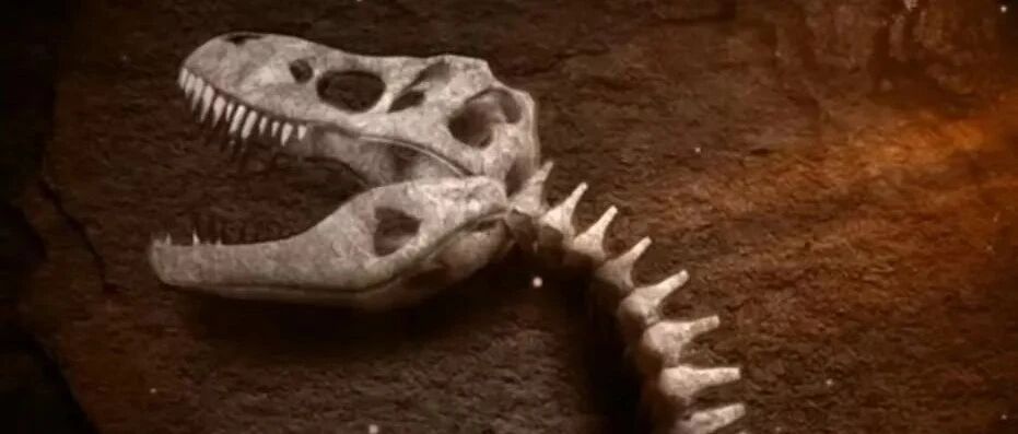 5月31日數字藏品上新預告丨幻核、熱狗、秦宇宙等，超多平臺上新，一覽表記得保存！圖片