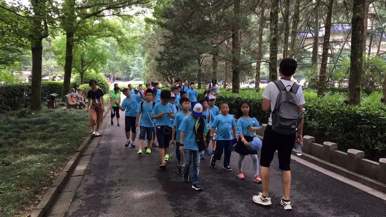 航空模型制作_航空模型制作教程_航空模型制作折叠翼弹射飞机