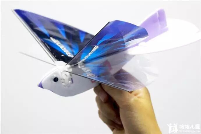 航空模型制作教程_航空模型制作折叠翼弹射飞机_航空模型制作