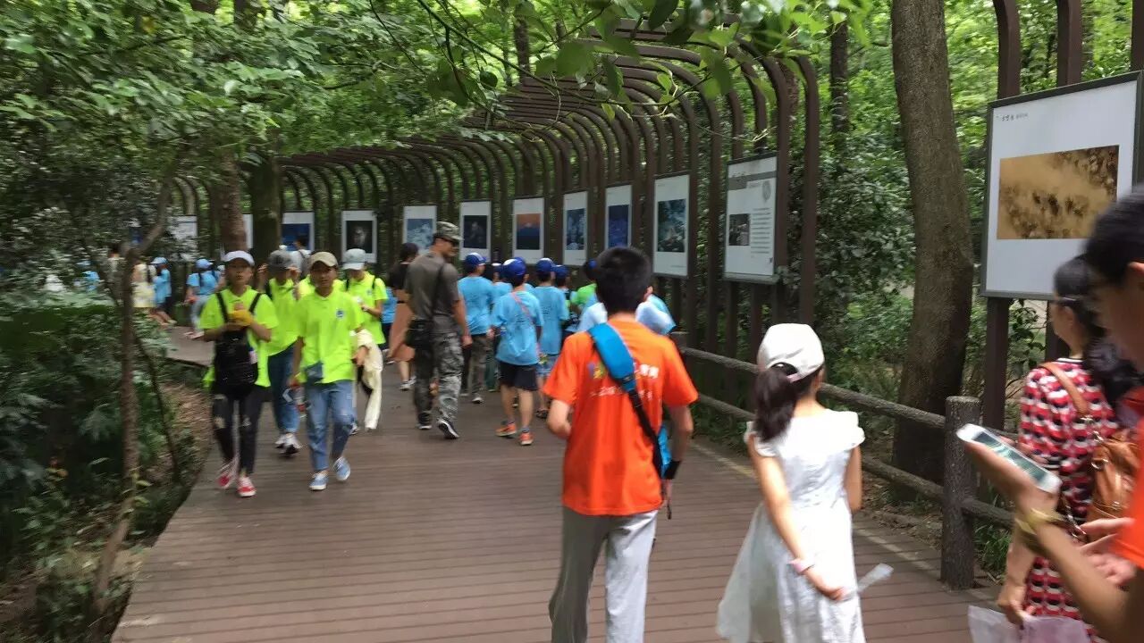 航空模型制作_航空模型制作教程_航空模型制作折叠翼弹射飞机