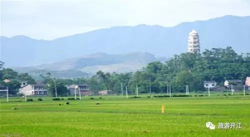 上海真如寺 舍利_河内舍利寺_金山寺舍利塔