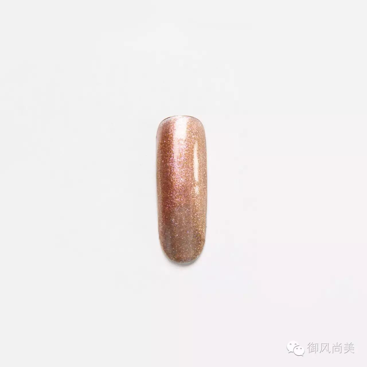 夜里盛开的黑色妖姬