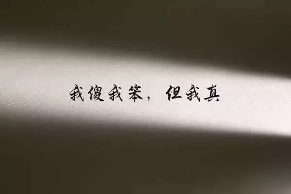 我傻,我笨,但我真!