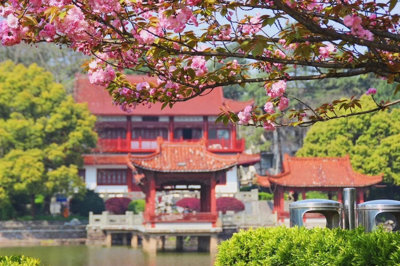 每天形色匆匆地经过初阳湖,很少会驻足观赏这些美景.