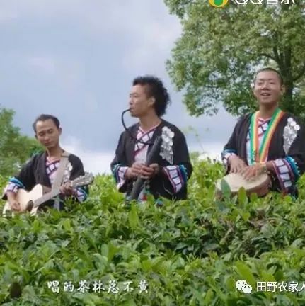 歌曲----徐子崴、三丫兄弟《人走茶不凉》