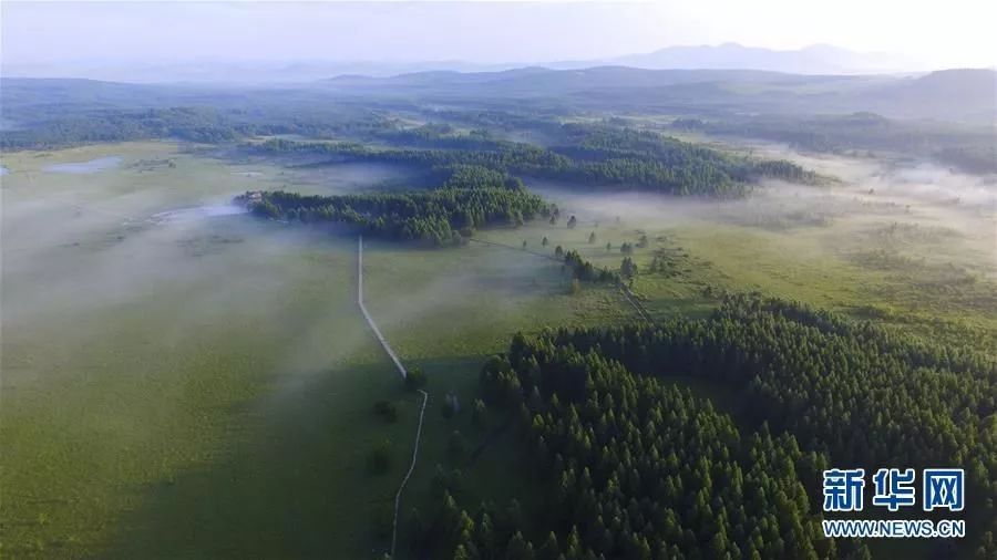 什么沙漠是世界上最大的沙漠_土地沙漠化_易志坚 沙漠土壤化作假