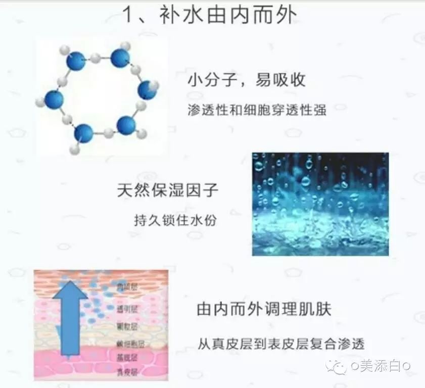 天然保湿因子-玻尿酸