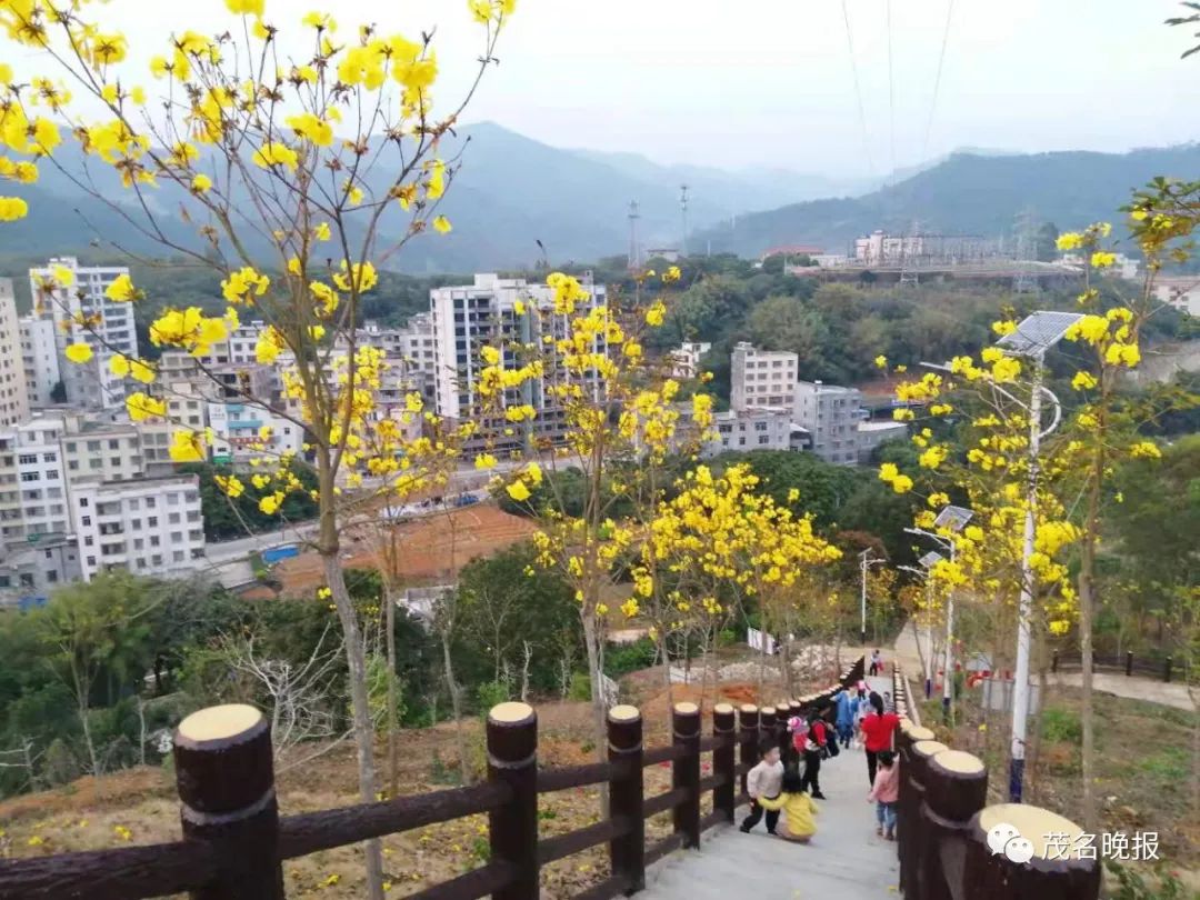 不断美化人居环境,高州市古丁镇委镇政府致力于乡村